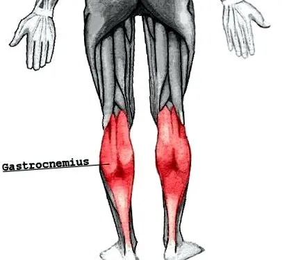 kinesiologie