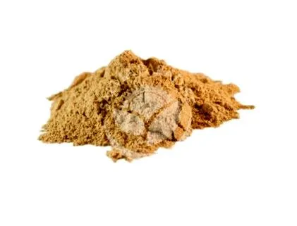 cardamomum