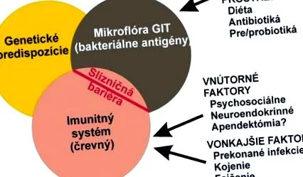 diagnostic intestinele