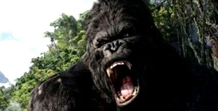 kong kong