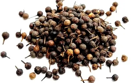 cubeba