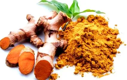 curcuma curcuma