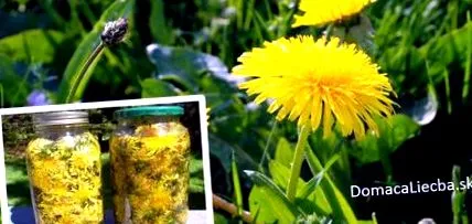 лекува бъбреци