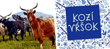 kozí kozí