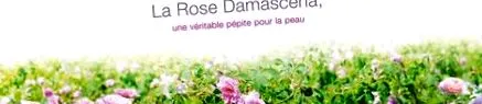 cosmetice