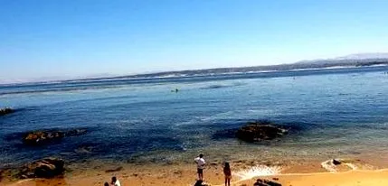 vrchol