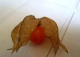 dieta dieta
