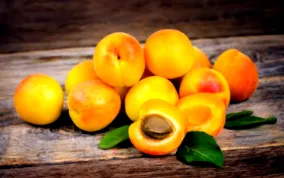nutriție