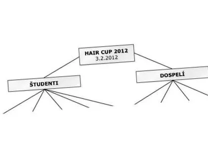 pagina Hair 2012