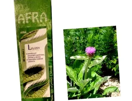extract șuierând