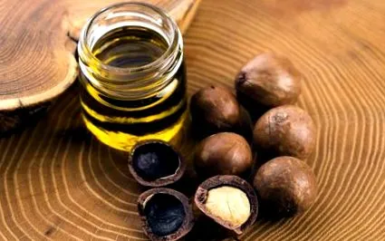 macadamia
