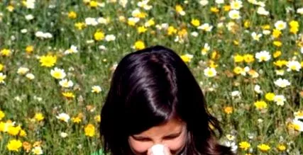 vindecătoare vindecătoare