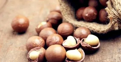 foarte macadamia