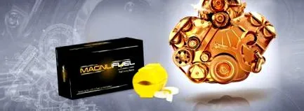 gyógyszertár magnufuel