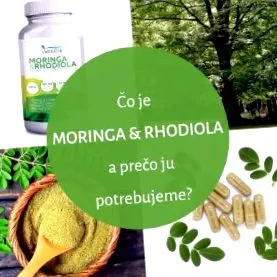 rhodiola rhodiola