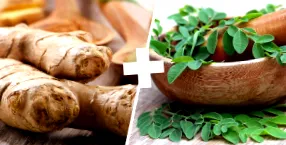 moringa miraculoase