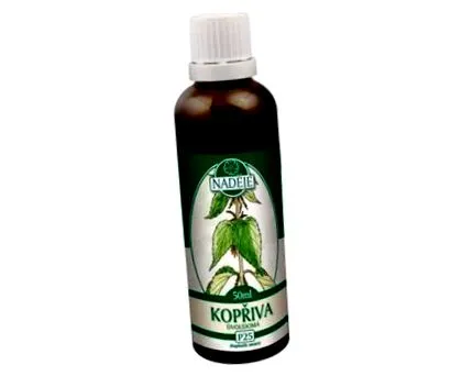 žihľava podhorná