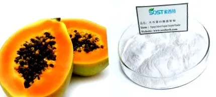 enzime papaya