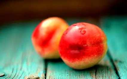 nectarine nectarine