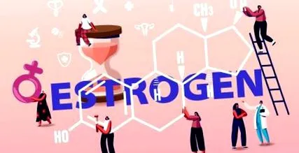 corpul estrogen