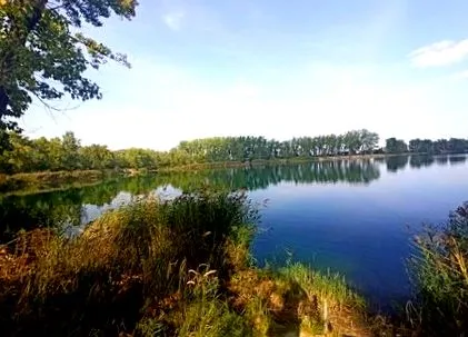 център