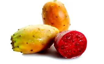 кактус