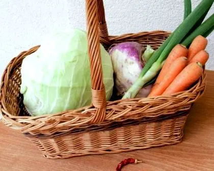 legume fermentate