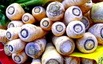 păstârnacul
