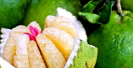 bombă pomelo
