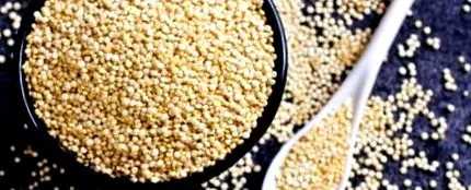 quinoa