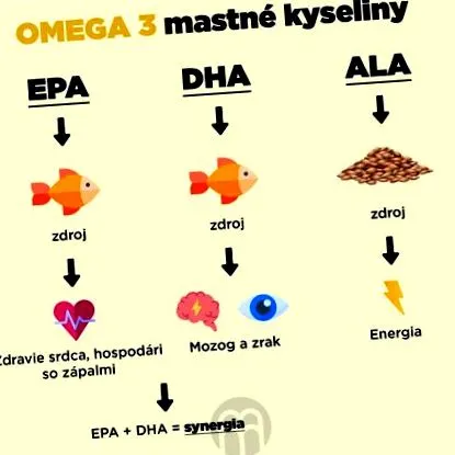 zsírsav zsírsav