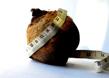 exercițiu https ncbi