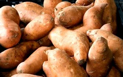 mănânci