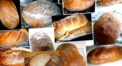 pâine