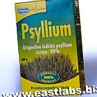 psyllium