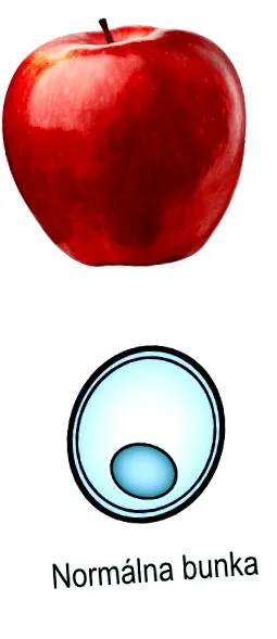 antioxidanții alimente