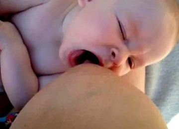 mamila mamila