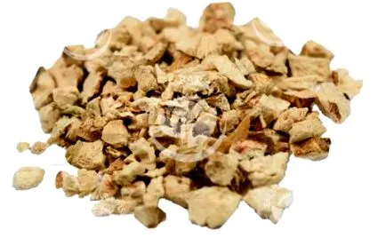 acorus rădăcină