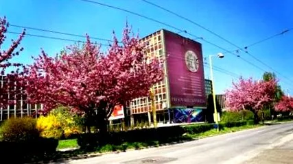 волгоград