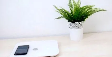 revizuirea