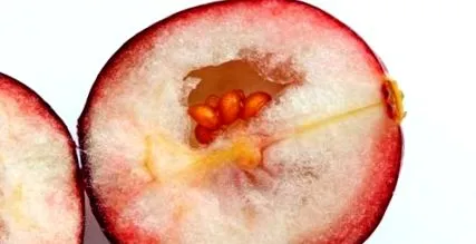 pierderea