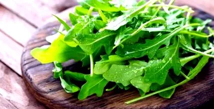 Rucola este