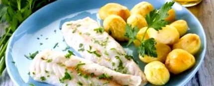 fileuri fileuri