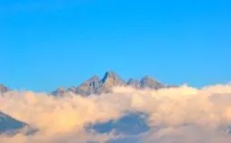 правилното