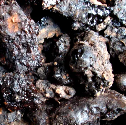 használat shilajit