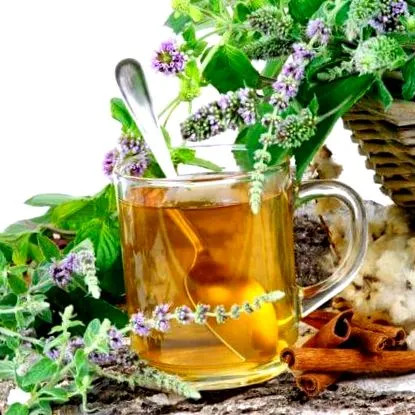 ayurvedice