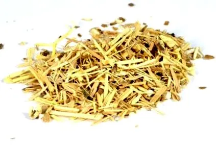 ginseng ginseng