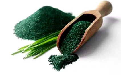 spirulina