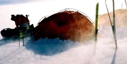 snow fossil