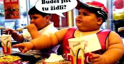 vină pentru